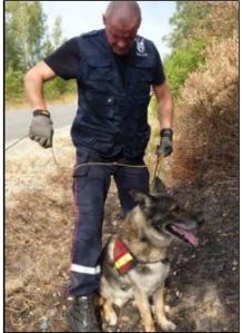 Flairer les causes des incendies criminels 