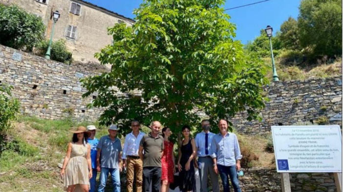 PIANELLU Autour de l'arbre d'Anne Frank "la barbarie" refait surface