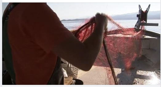 A la découverte de la Corse : les pêcheurs de la Castagna