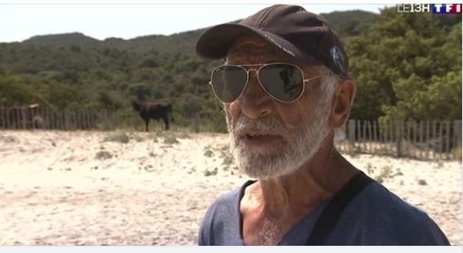 À la découverte de la Corse : le désert des Agriates, un endroit authentique dans le golfe de Saint-Florent