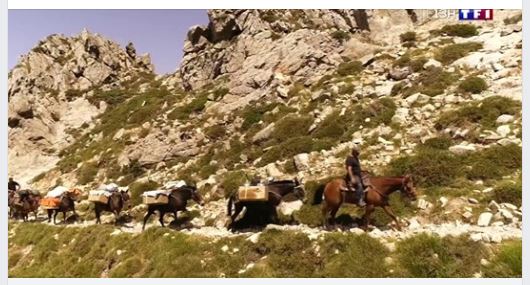 A la découverte de la Corse : un muletier qui approvisionne les refuges du GR20