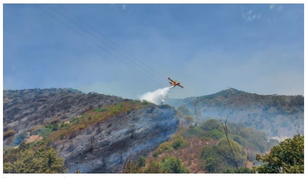 Incendie à Ajaccio : une dizaine d'hectares touchés à Saint-Antoine 