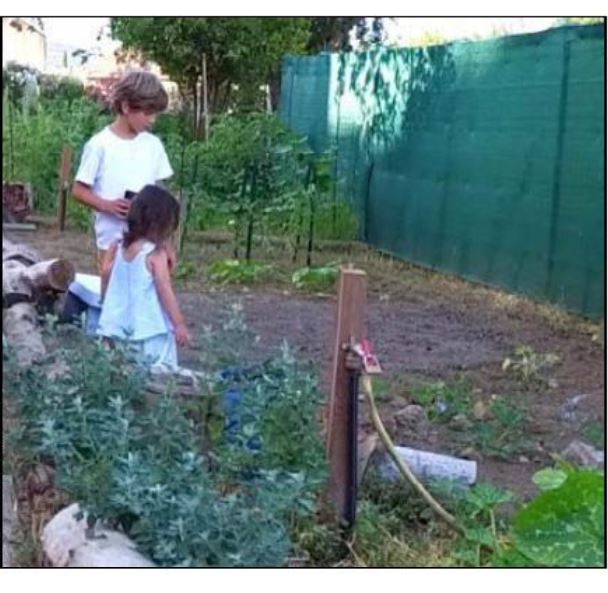 SARRULA È CARCUPINU  Le succès des jardins partagés à Effrico