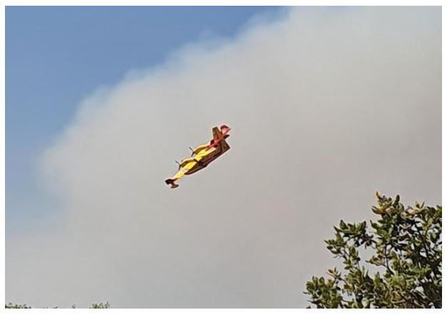 Feu virulent à Appietto : 12 hectares détruits 