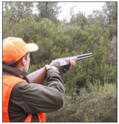 CHASSE Une ouverture sans chevrotine CHASSE Une ouverture sans chevrotine