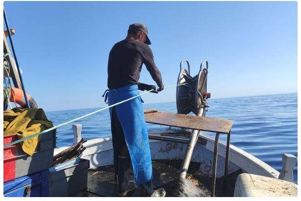 Tema - Immersion dans le quotidien de pêcheurs de Bonifacio au Cap Corse