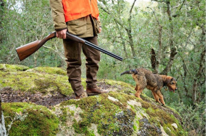 Eclairage sur la réouverture de la chasse avec Paul Ettori