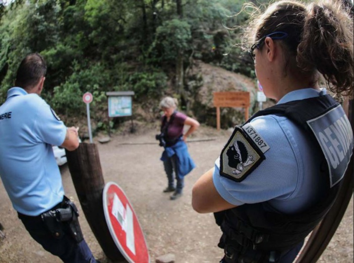 Forêts, le casse-tête de la sécurité