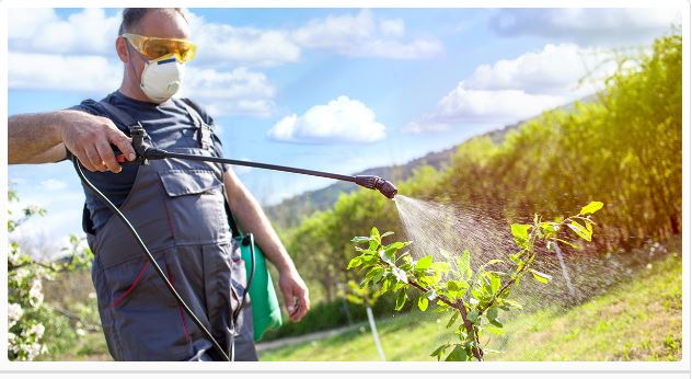 Plan Ecophyto 2 : lancement d'un nouvel appel à projets national 