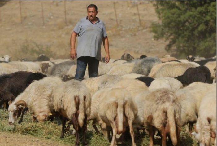 AGRICULTURE La sécheresse touche aussi le Centre Corse