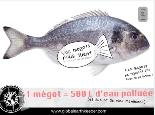 Ajaccio : Nettoyage de la plage Trottel le 4 septembre 