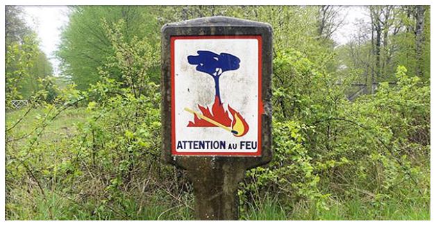 Prévention des incendies : fréquentation des massifs forestiers interdits en Haute-Corse 
