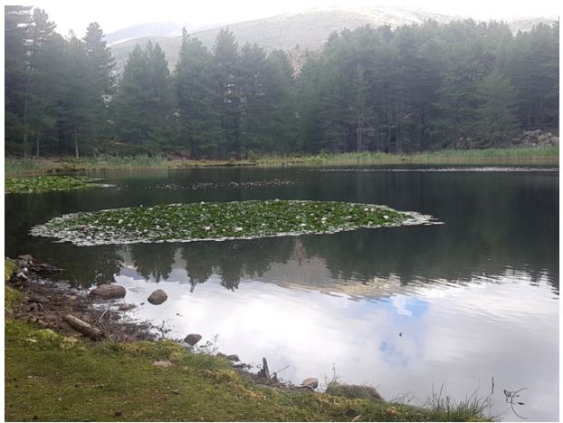 Dans la quiétude du lac de Creno 
