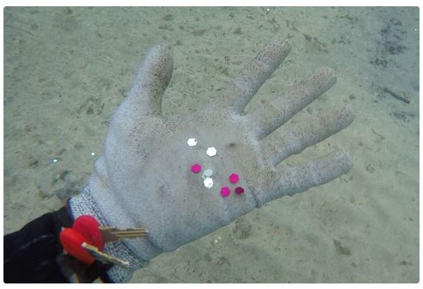Les paillettes des bouées gonflables, la nouvelle pollution en Méditerranée dénoncée par une association d'Antibes