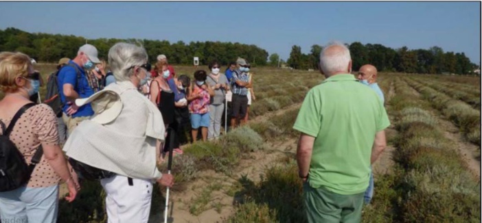 GHISONACCIA  L'immortelle de Corse au travers du prisme de la non-voyance