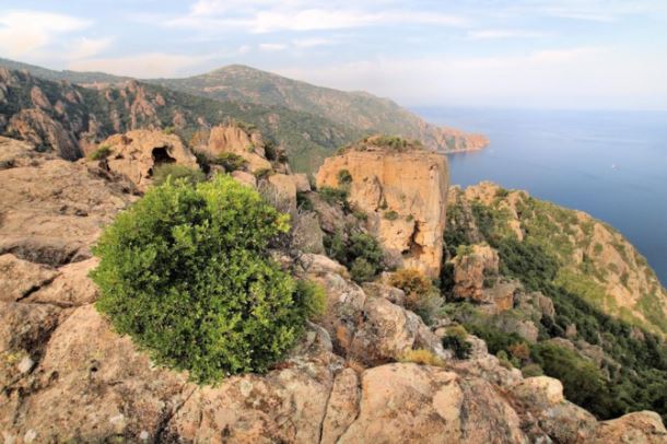 le château de Porto et les calanche