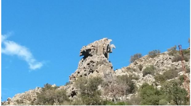 Entre Barchetta et Ponte Novu, un aigle de pierre
