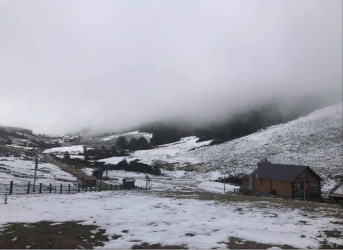 BASTELICA  La neige contraint les bergers d'Ese à transhumer en urgence