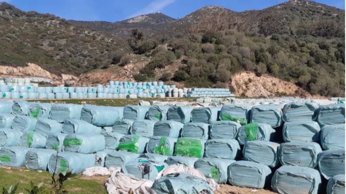 Centre de Giuncaggio : le préfet de Haute-Corse exige des garanties environnementales