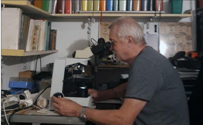 PORTIVECHJU  L'art et la manière d'observer et cueillir les champignons