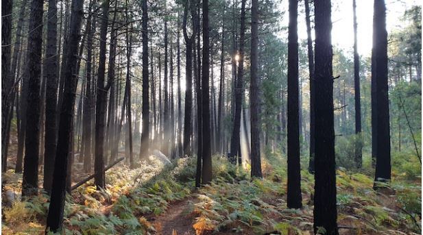  Météo Corse : Petit coup de froid en début de semaine