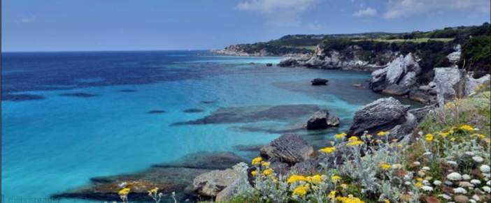 DE NOUVELLES ACQUISITIONS SUR LE LITTORAL Le conseil des rivages étend sa protection