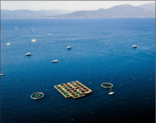 CAMPUMORU La ferme aquacole libère totalement la baie en 2022