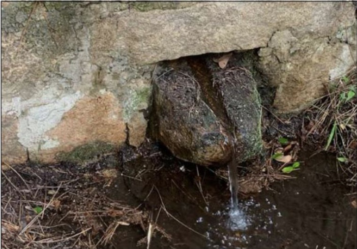 PORTIVECHJU  Le retour aux sources des riverains de Ferrucciu