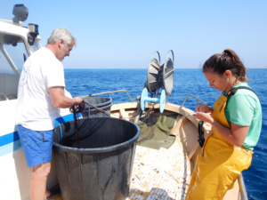 Crédit photo : OEC-UCPP-STARESO Crédit photo : OEC-UCPP-STARESO