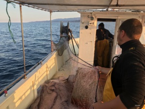 Crédit photo : OEC-UCPP-STARESO Crédit photo : OEC-UCPP-STARESO