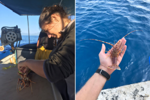 Crédit photo : OEC-UCPP-STARESO Crédit photo : OEC-UCPP-STARESO