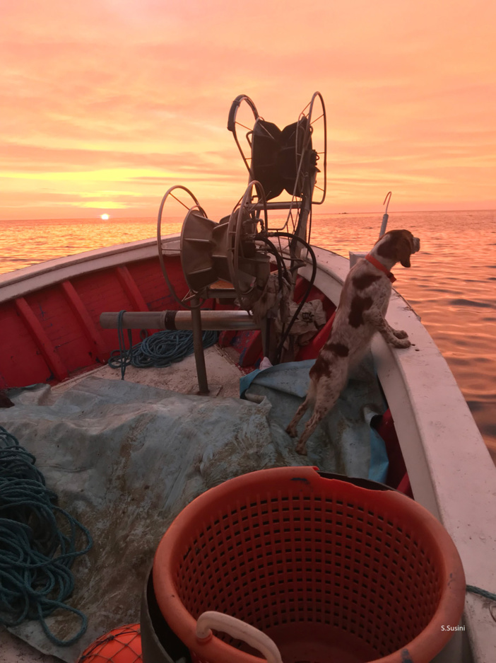 Crédit photo : OEC-UCPP-STARESO Crédit photo : OEC-UCPP-STARESO