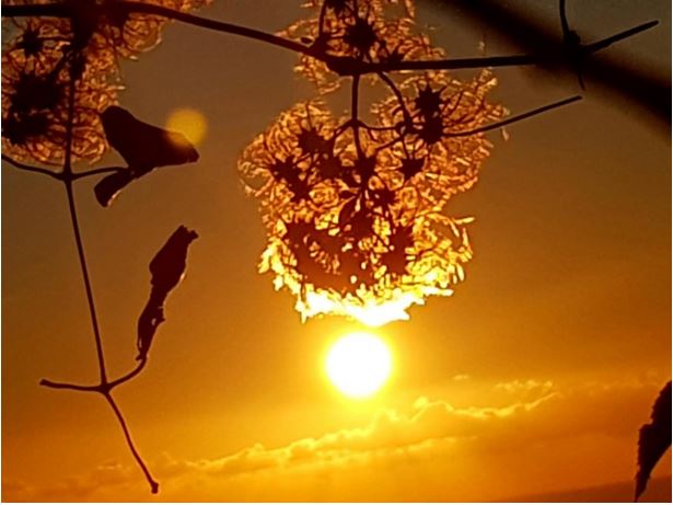 Météo de la semaine en Corse : douceur automnale au programme 