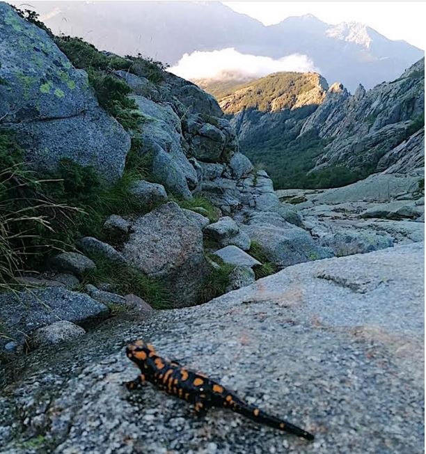 Sur le GR 20 