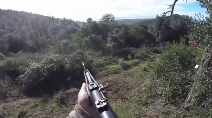 CHASSE  Le préfet a signé un arrêté d'interdiction en Corse-du-Sud