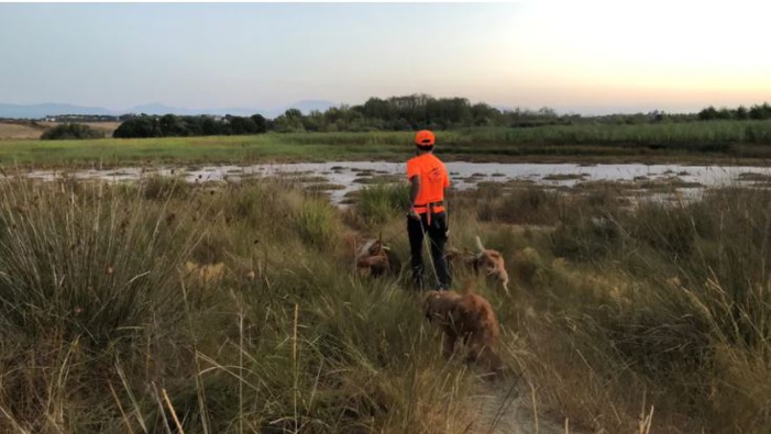 Chasse : la préfecture de Haute-Corse précise les conditions pour obtenir une dérogation