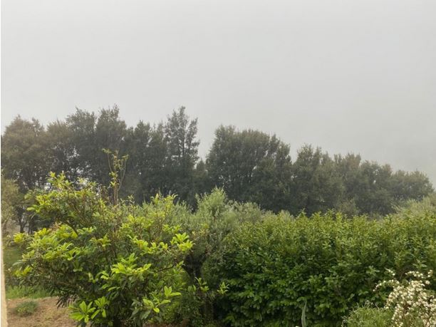  Pollution aux particules fines : qualité de l'air médiocre en Corse