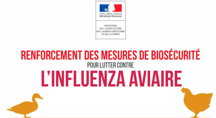 Recommandation sur la Grippe Aviaire