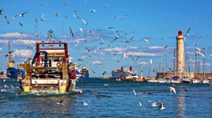 Mare latinu : Les pêcheurs méditerranéens français annoncent des actions le 15 décembre.