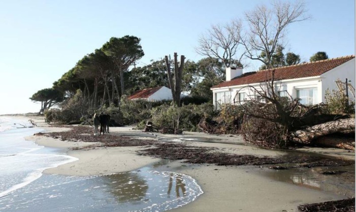 Lucciana, la mer ronge le littoral