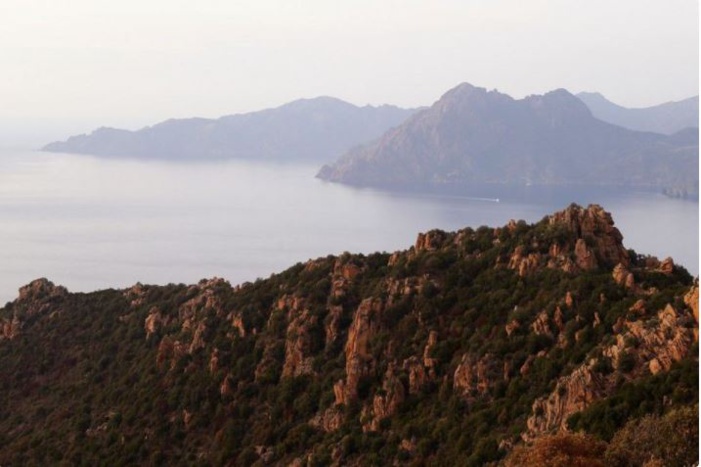 Corse : vers une extension du périmètre de la réserve naturelle de Scandola