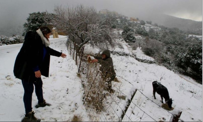 Un manteau blanc sur la Corse