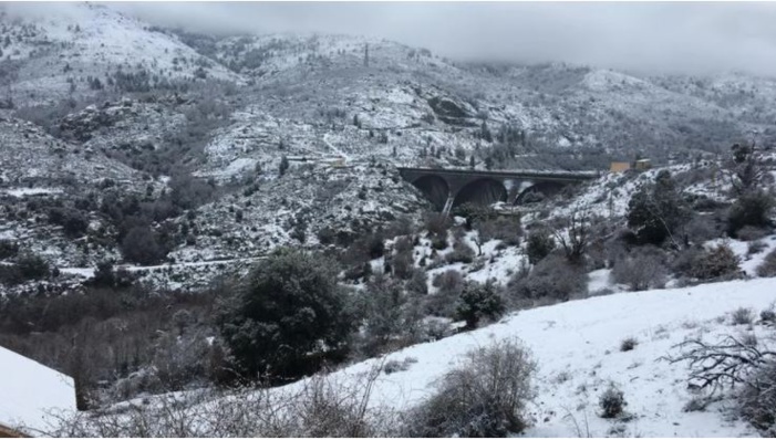 Vidéo : un hiver de trop dans le Niolu