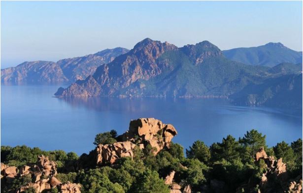 Gilles Simeoni au One Planet Summit : « Les îles ont un rôle à jouer dans la préservation de la biodiversité »