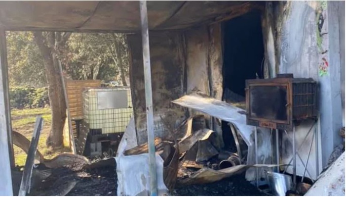 Corte : une apicultrice victime d'incendies d'apparence criminelle : "Ça ne m'empêchera pas de travailler"