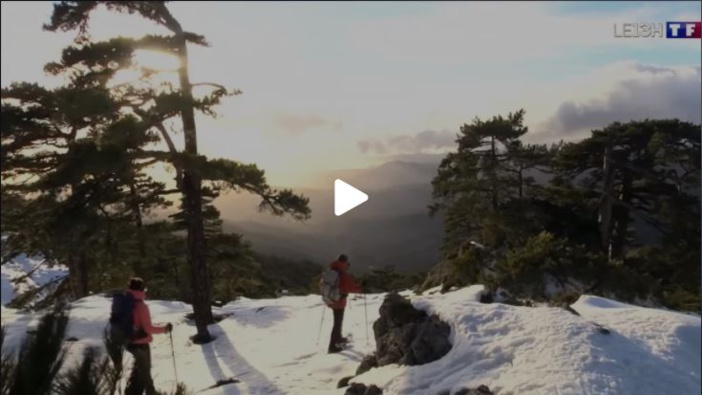 Les aiguilles de Bavella en Corse