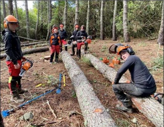 SARTÈ  Les élèves du Campus Agri dans les pas d'un exploitant forestier