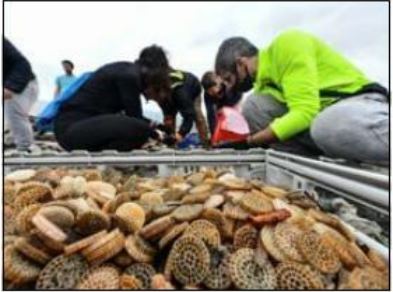 Pollution aux biomédias la Corse suit le procès italien Pollution aux biomédias la Corse suit le procès italien