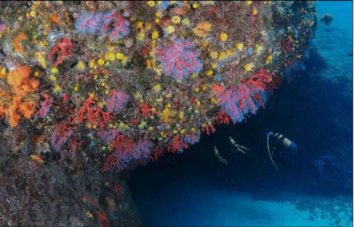 MER  Inventaire des grottes marines