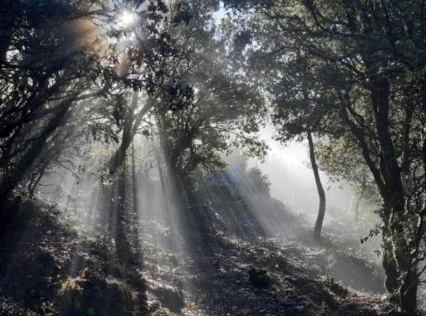 Météo de la semaine en Corse : premiers jours de Mars sans pluie